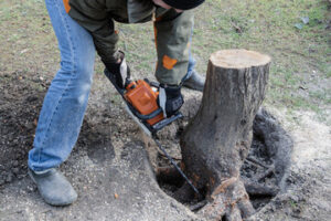 Stump Grinding